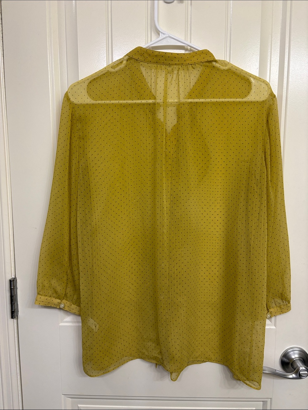 Banana Republic Olive-Yellow Ruffle Button-Front Sheer Blouse - Picture 8 of 9